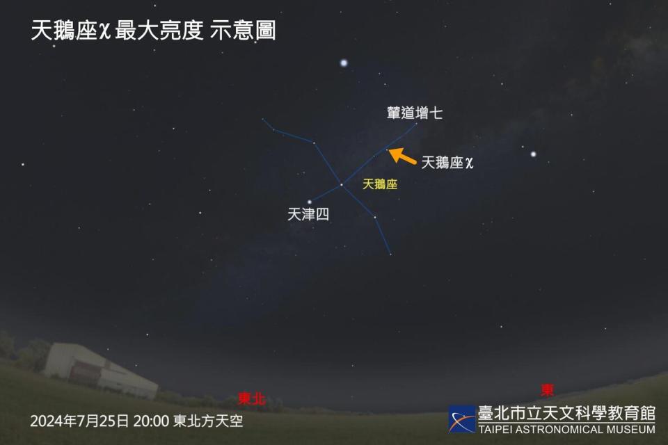 七月下旬天鵝座X將達到最大亮度，以肉眼即可看見。圖/台北市立天文館提供。