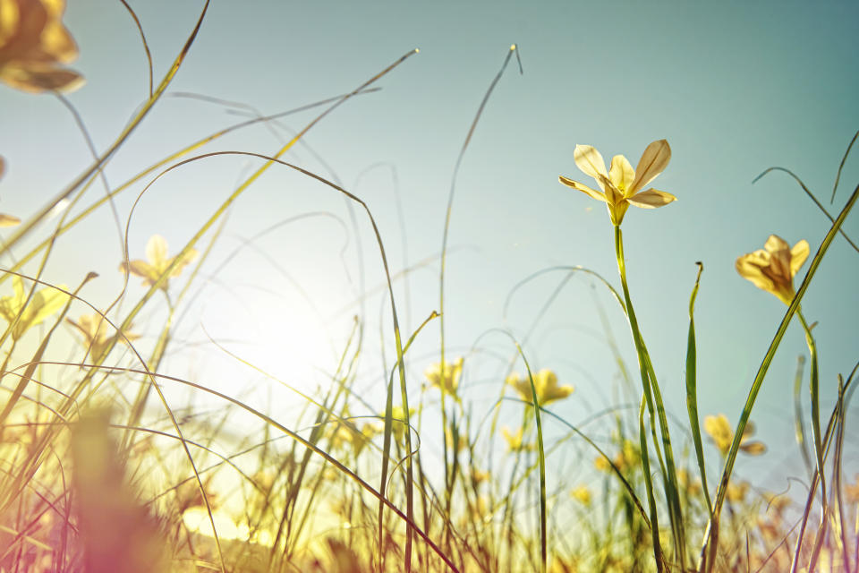 Frühling