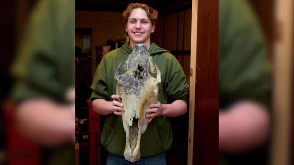 Isle of Wight County Press: Jack Wonfor found the skull whilst out collecting on an Island beach