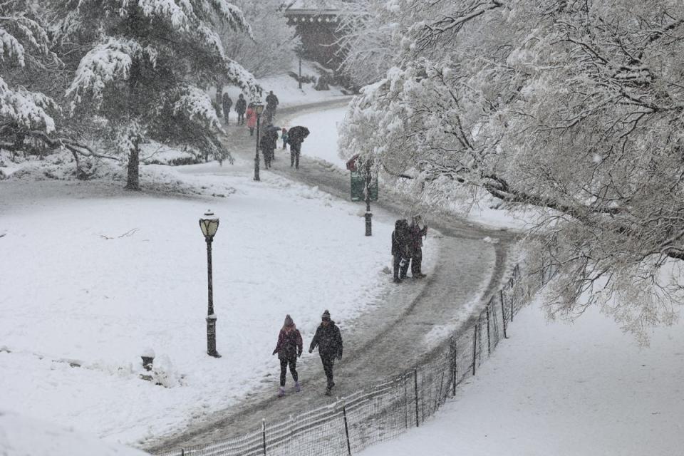 Central Park was coated in snow (AFP via Getty Images)