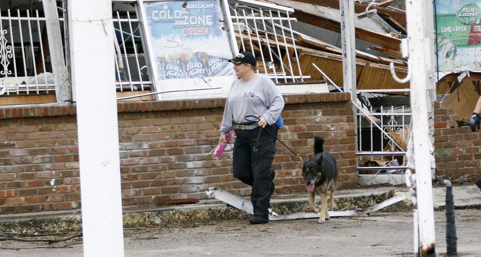 First responders used dogs to sniff for bodies or injured residents of each residence and business damaged by the early morning tornado in south Hattiesburg, Miss., Saturday, Jan. 21, 2017. The tornado was part of a wall of stormy weather traveling across the region, bringing with it rain and unstable conditions. (AP Photo/Rogelio V. Solis)