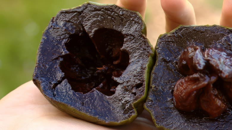 Hands holding black sapote