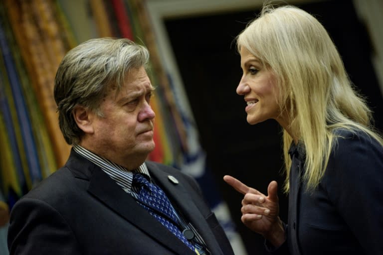 President Donald Trump brought Steve Bannon and Kellyanne Conway on to his then floundering campaign at the suggestion of the Mercer family