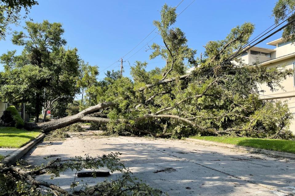 A tree downed by tropical storm Beryl blocks Richmond Avenue in Houston on July 10, 2024.