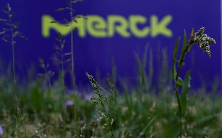 Merck&Co Earnings Beat, Revenue Misses In Q4