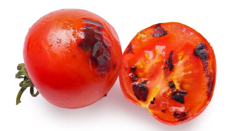 fire-roasted tomatoes