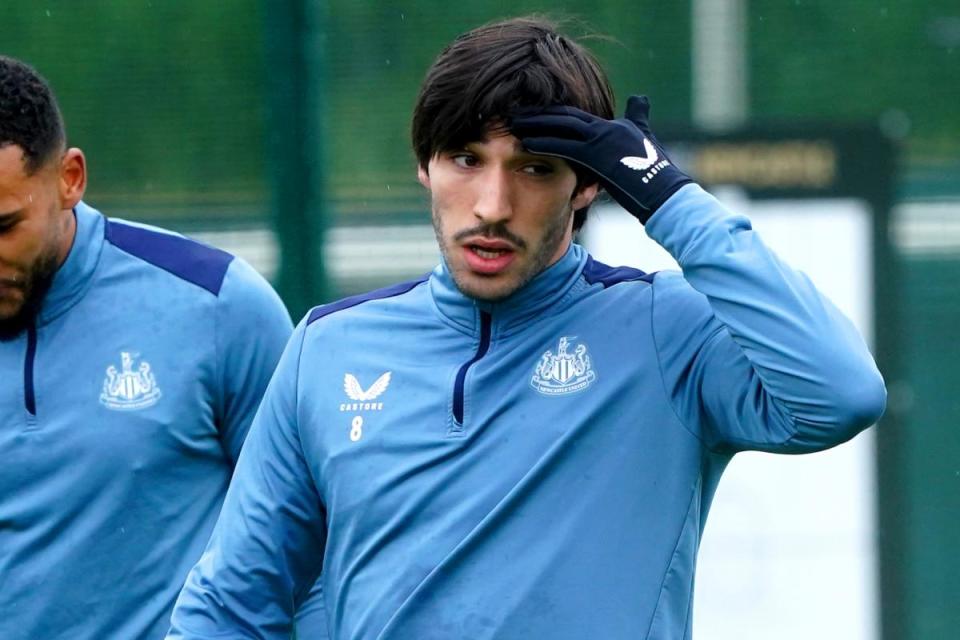 Newcastle United midfielder Sandro Tonali <i>(Image: PA)</i>