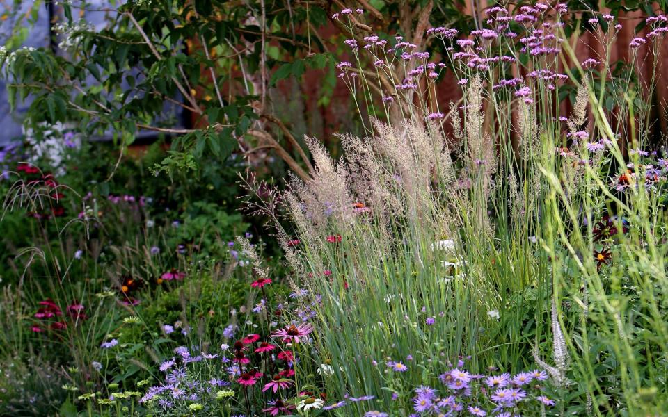 The planting in the Florence Nightingale Garden shows it is designer Robert Myers' best yet - Clara Molden