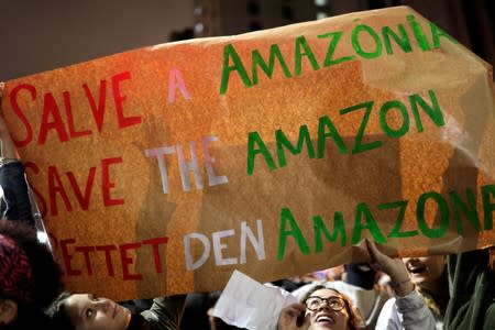 Demonstration in Sao Paulo to demand for more protection for the Amazon rainforest