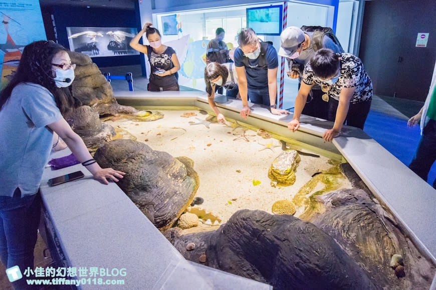 澎湖水族館