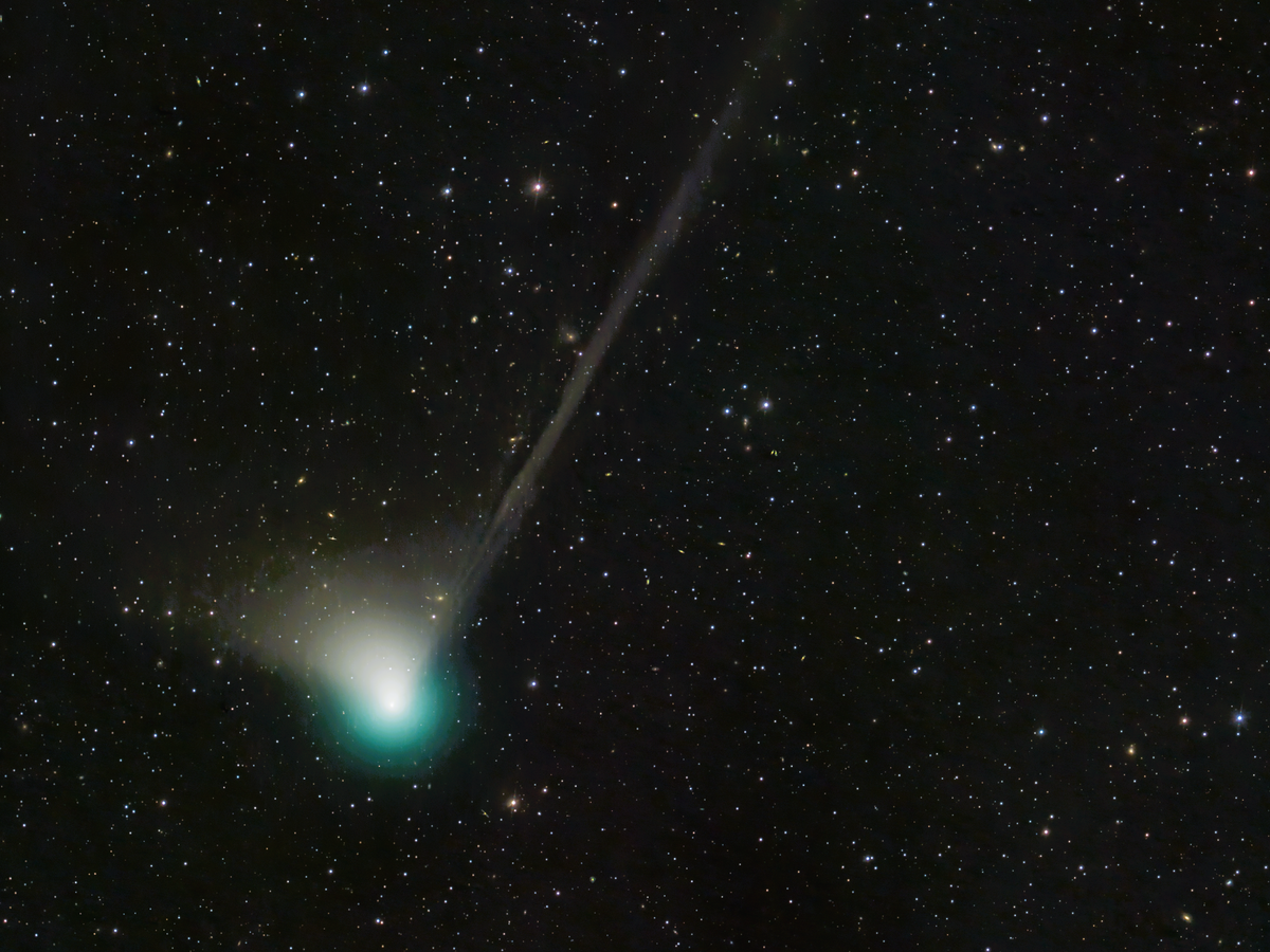 The E3 comet captured by astronomers at Nasa in December, 2022 (Nasa)