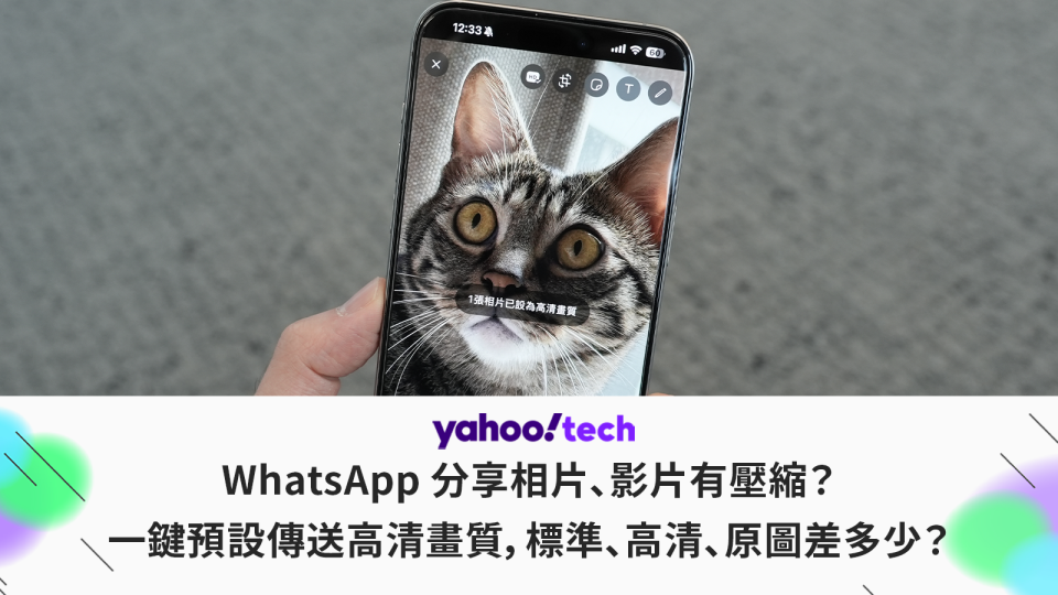 WhatsApp教學｜分享相片有壓縮？一鍵預設傳送高清畫質，標準、高清、原圖差多少？