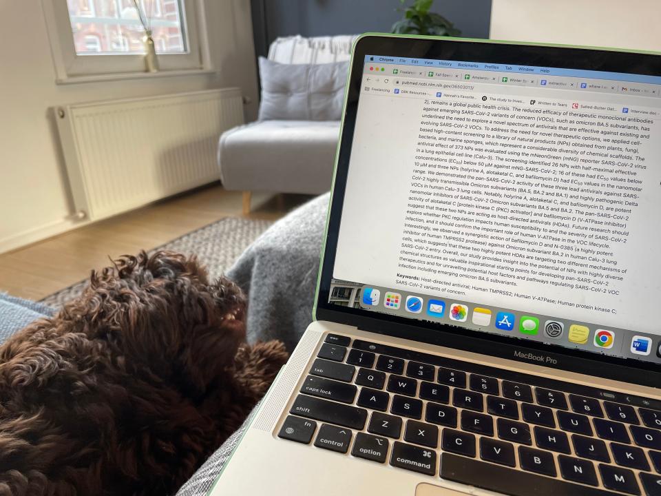 Laptop on author's lap with dog next to her.