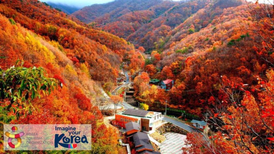 North Chungcheong Day Tour from Seoul: Sobaeksan National Park＋Sky Walk. (Photo: KKday SG)