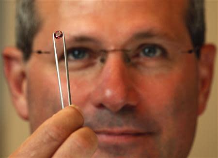 Alan Davies, chief executive of Rio Tinto's diamonds and minerals division, poses with a rare pink diamond in Hong Kong September 6, 2013. REUTERS/Bobby Yip