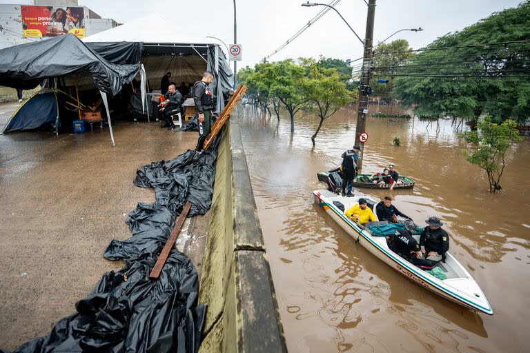 Se encontraron pirañas en las inundaciones de Porto Alegre