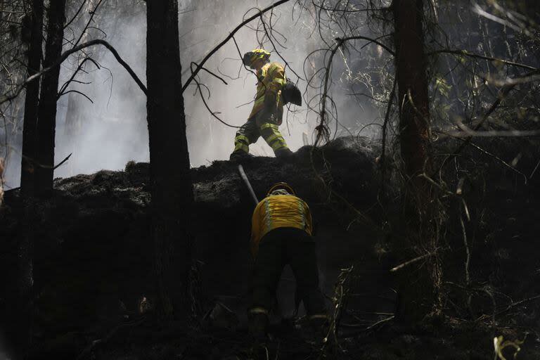 Bomberos trabajan para controlar un incendio forestal en El Cable Hill en Bogotá