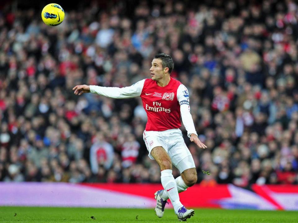 Robbin Van Persie scored a stunning goal against Everton (Getty)