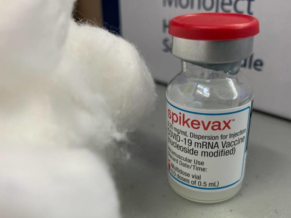 A vial of Moderna's spikevax vaccine, and some cotton balls at a health clinic in Lewisporte, N.L. (Garrett Barry/CBC - image credit)