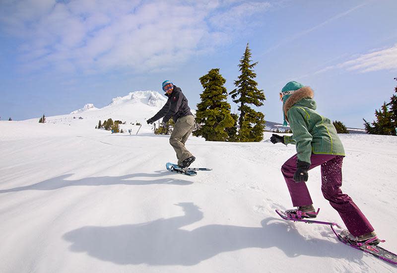 Mt Hood Territory - Oregon