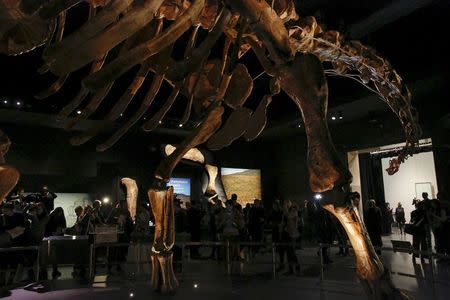 People stand around the skeleton cast of a titanosaur during a media preview at the American Museum of Natural History in New York January 14, 2016. REUTERS/Shannon Stapleton