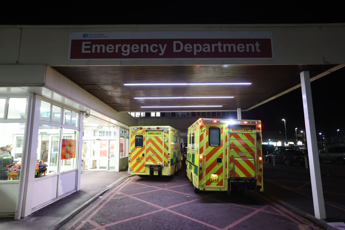 Hospital admissions due to flu in London have risen by 14 per cent in a week, new figures show (File picture) (PA Wire)