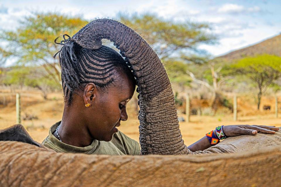 "Caregiver Mary Langees and African Elephant Orphan," by Anthony Ochieng Onyango. This photo taken at the Reteti Elephant Sanctuary in Samburu, Kenya, was the winner in the African Conservation Heroes category.