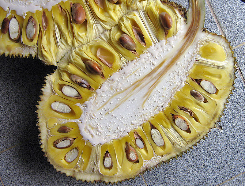 jackfruit