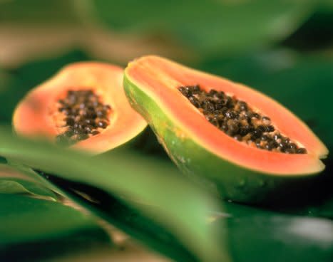 Papaya