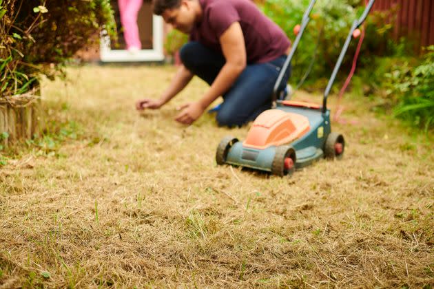 July's heatwave has left UK land looking dry (Photo: sturti via Getty Images)