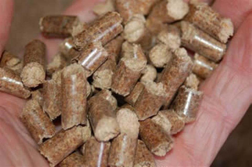 Wood pellets are the final product that come from the Waycross, Georgia Enviva facility that are burned for fuel in countries in Europe like the Netherlands or the United Kingdom. The Waycross plant produces 800,000 dry storage tons per year.