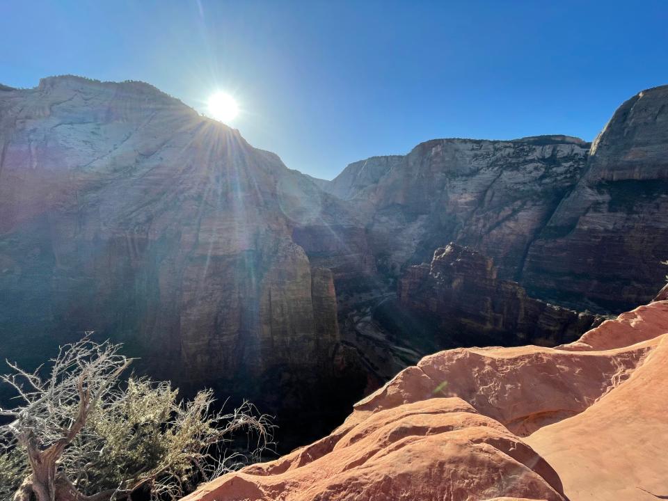 the view from the top of scout lookout