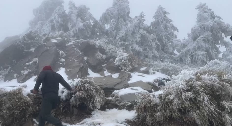 寒流餘威還在！合歡山又飄雪　遊客親眼目睹超驚喜