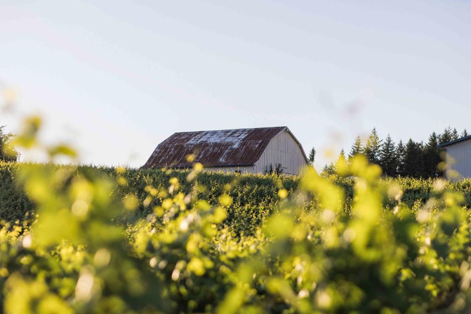 <p>Courtesy of Okta</p> A farmhouse on the Okta property