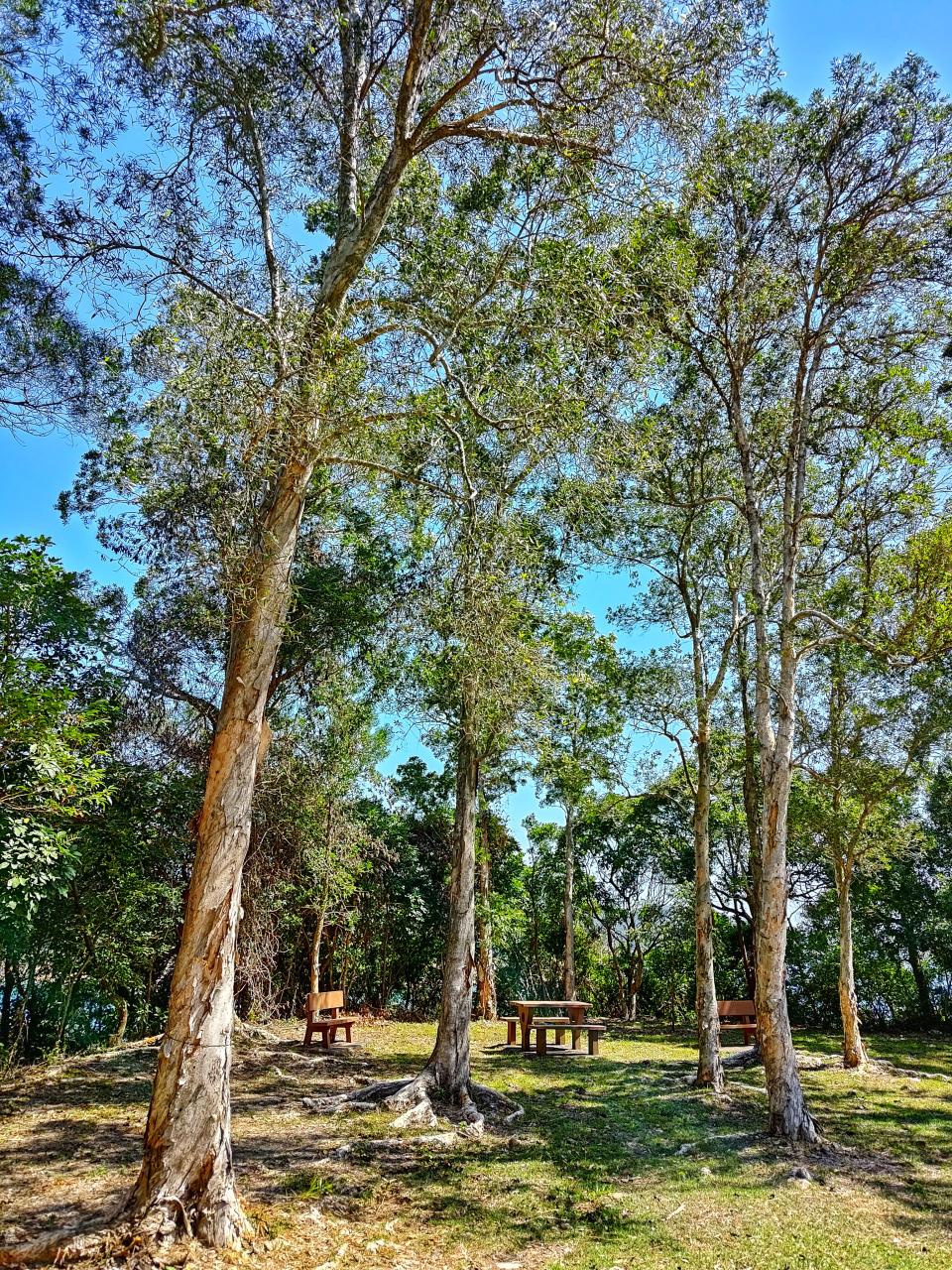 行山路線｜麥理浩徑西壩段五星級風景路線！香港藍湖萬宜水庫＋鐘形虹吸排水口