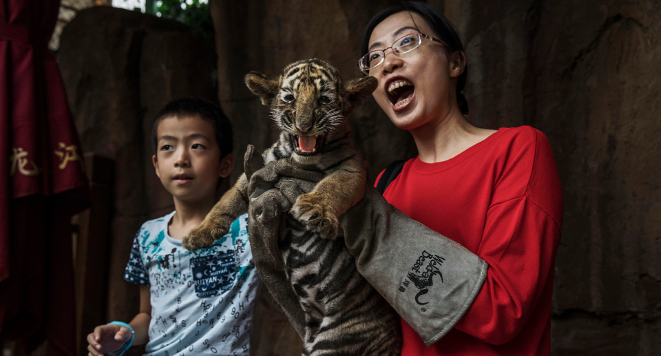 A woman and boy hold a baby tiger.