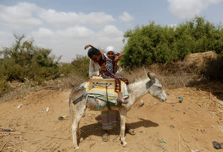 Hussein Abdu, 40, father of ten-year-old Afaf Hussein who is malnourished, helps her get on the donkey near their house in the village of al-Jaraib, northwestern province of Hajjah, Yemen, February 17, 2019. REUTERS/Khaled Abdullah