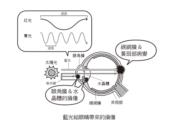 圖片來源：經《瑞昇文化》授權使用，未經許可不得任意轉載。