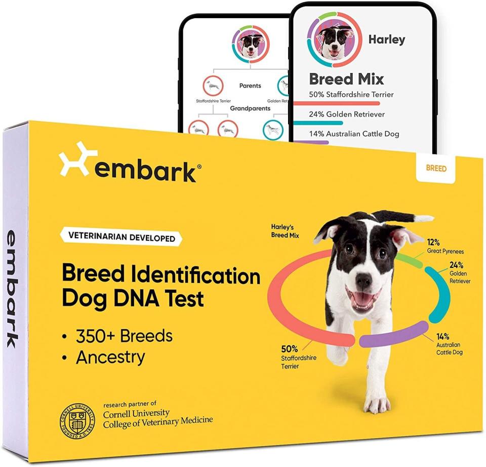 Embark dog DNA Cyber Monday deal for 2020. (Photo: Amazon)