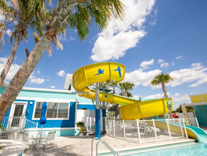 A waterslide into a pool next to palm trees.