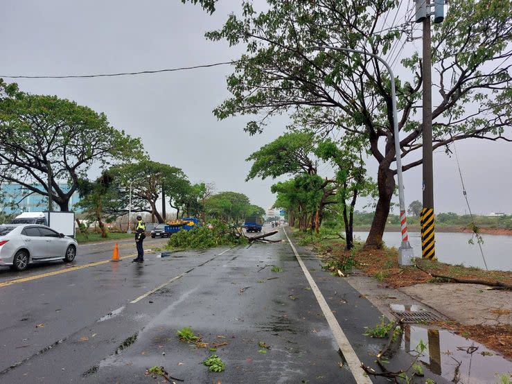 雷雨造成高市湖內區東方路路樹傾倒占據道路影響交通。（圖/水利局提供）