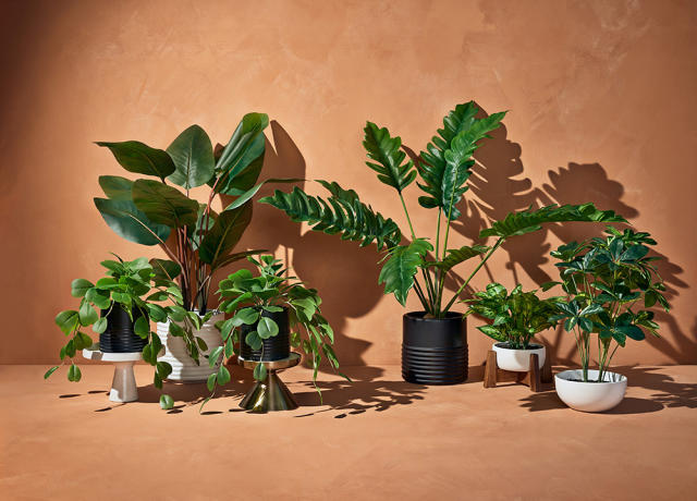 Fake Plants & Artificial Plants for Indoors : Target