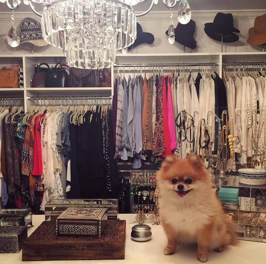 Shay Mitchell’s LA Home OK, we know we should be commented on Shay’s fabulous wardrobe, but it’s her pet pooch we love most. [Photo: Instagram/Shay M]