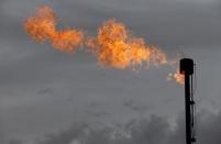 FILE PHOTO: A flare burns off excess gas from a gas plant in the Permian Basin in Loving County