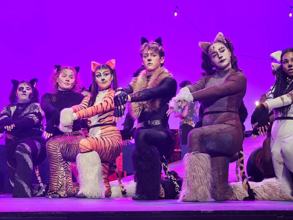 Northern Valley/Old Tappan's production of "Cats" is nominated for nine Metro Awards, including outstanding overall production, to be handed out June 10 at Purchase College PAC.