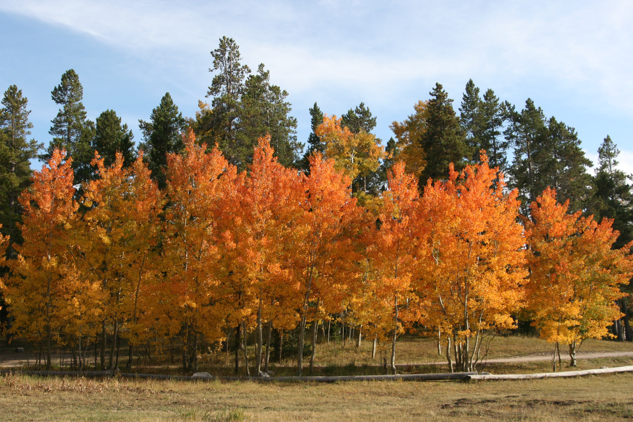 Casper Mountain