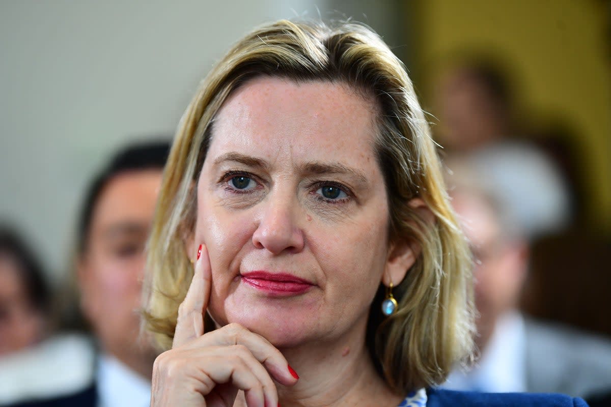 Former home secretary Amber Rudd has claimed that some Brexiteers, after ‘a drink or two’, will admit that the decision to leave the EU has been a ‘disaster’ (PA)