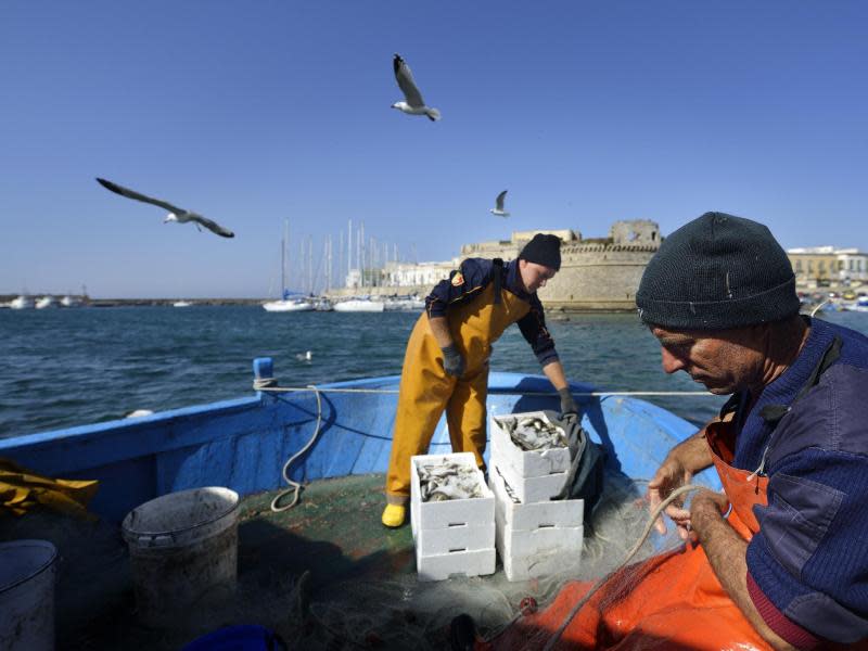 Was auf den Tellern der Restaurants landet, muss erst mühsam gefangen werden - diese Fischer sind im Dienste der Kulinarik unterwegs. Foto: www.viaggiareinpuglia.it