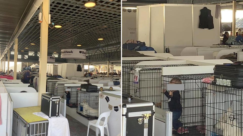 The photos shared to social media of a child left in a cage, surrounded by dogs at the Royal Queensland Show. Source: Facebook