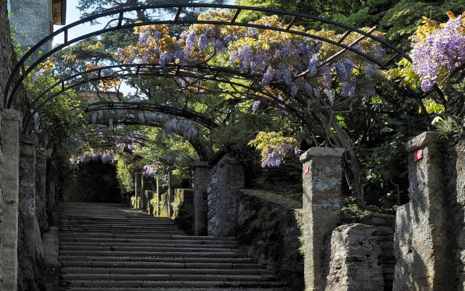 Make your way down the famed Wisteria Staircase of Isola Madre, Italian Lakes
